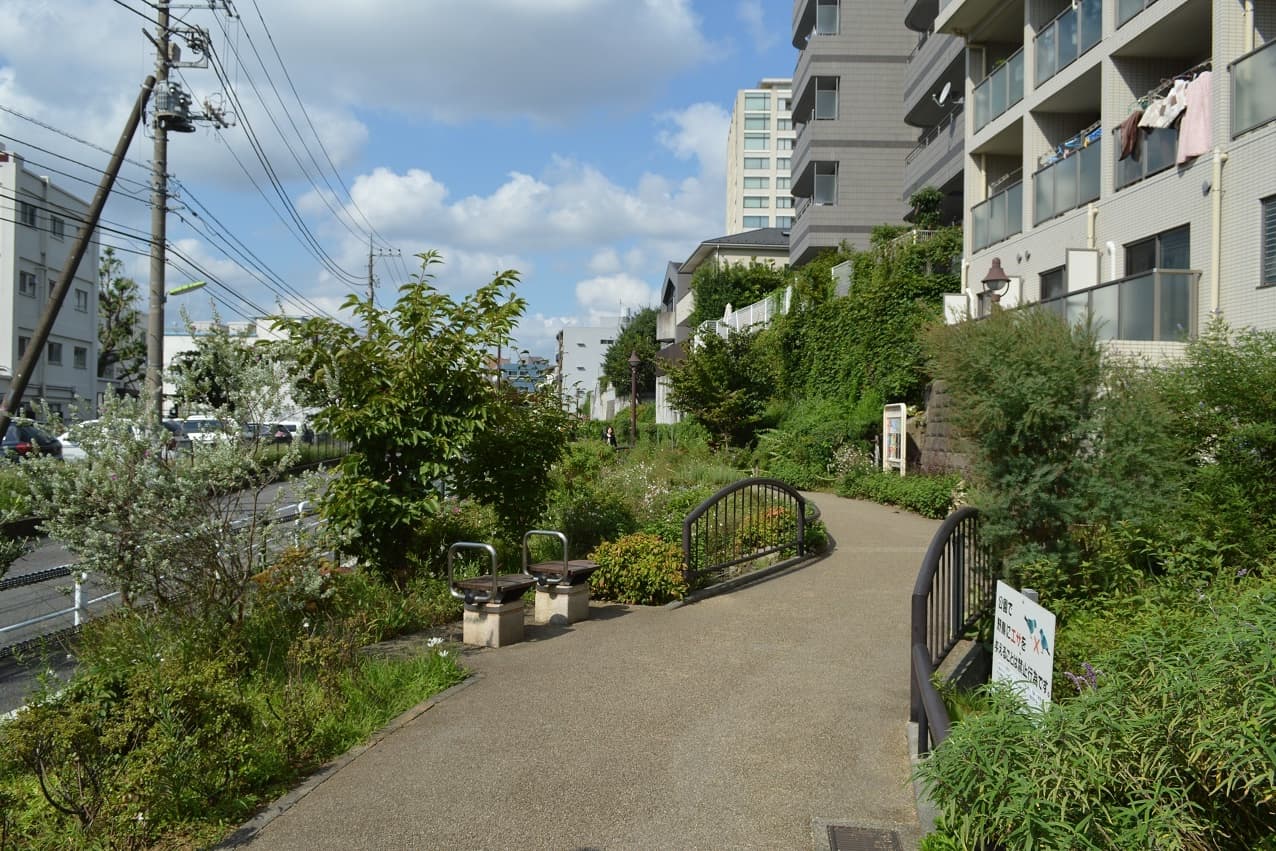 池尻の緑道写真